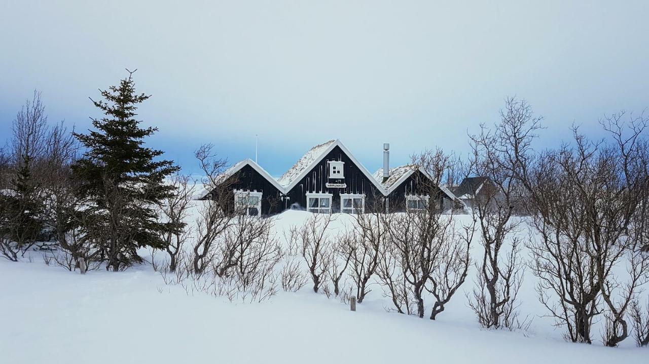 Þingvellir Golden Circle Cottage Veithilundur Dış mekan fotoğraf