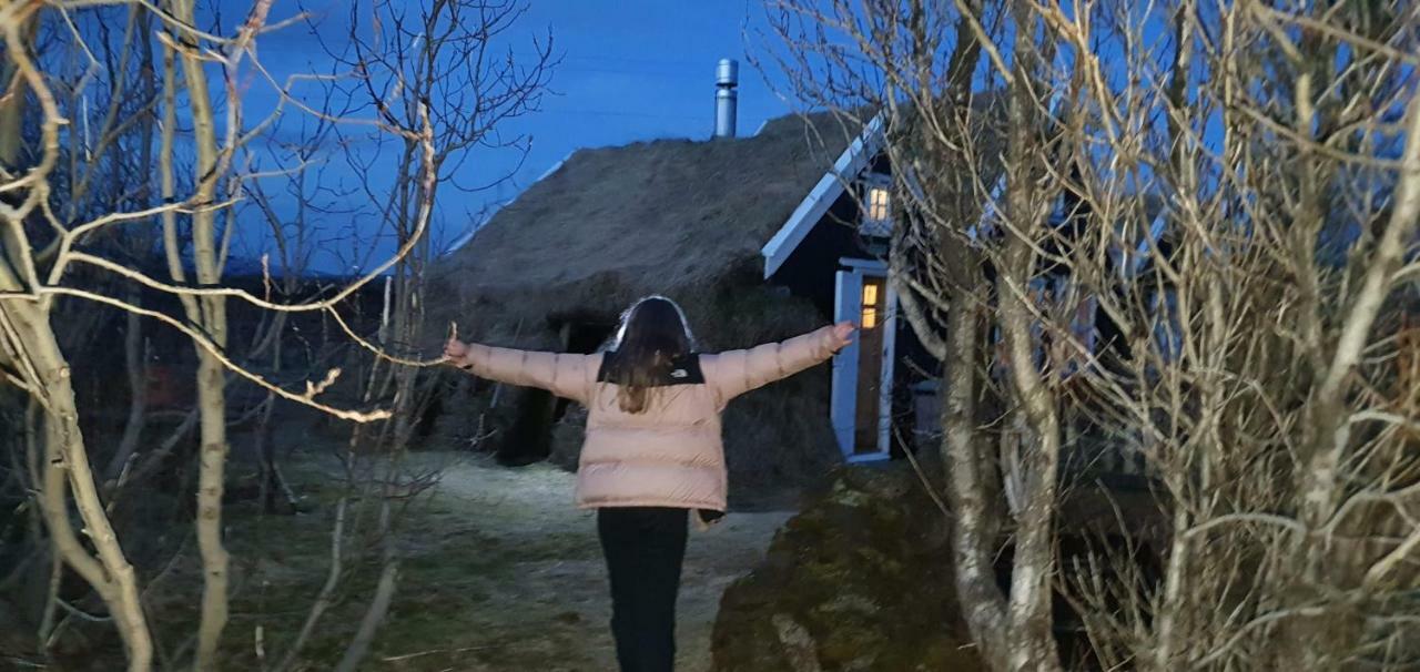 Þingvellir Golden Circle Cottage Veithilundur Dış mekan fotoğraf